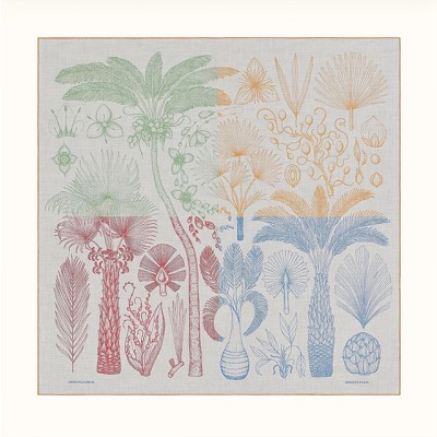 에*메스 트로피칼 숄 Faubourg Tropical shawl 스카프 140